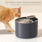 The Pawvola Living Spring Fountain
