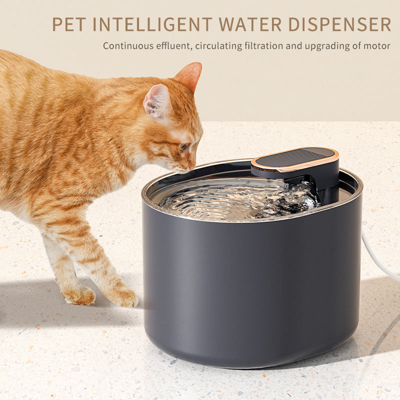 The Pawvola Living Spring Fountain